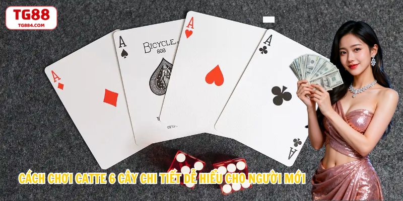 Cách Chơi Catte 6 Cây Chi Tiết Dễ Hiểu Cho Người Mới